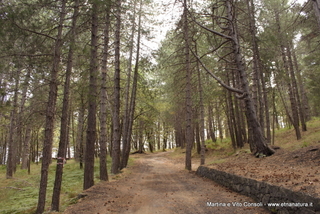 ppinazzu-05-08-2014 16-42-18